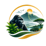 Rwanda Tour Packages